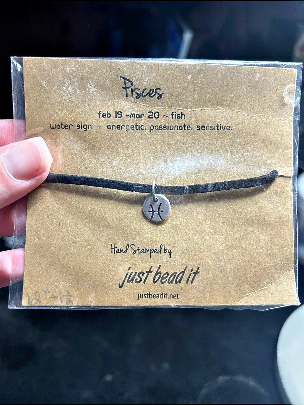 Just Bead It Pisces Zodiac Choker in Black & Silver NWT